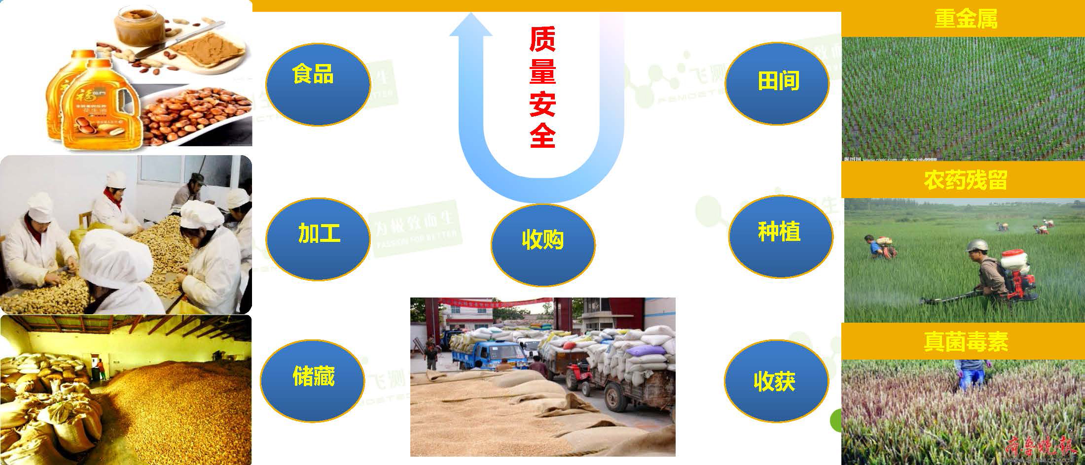  威脅著(zhù)我國糧油質(zhì)量安全的隱患