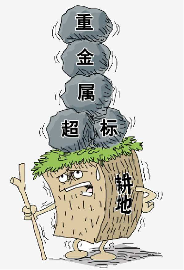 重金屬污染所帶來(lái)的經(jīng)濟損失