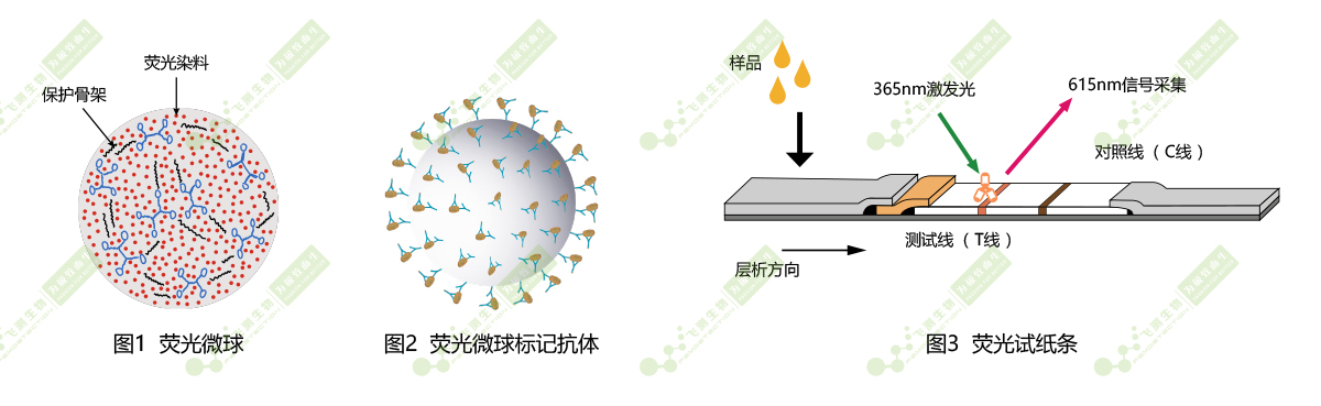 時(shí)間分辨熒光納米微球標記技術(shù)