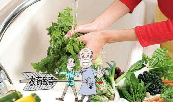 果蔬農藥殘留 果蔬農藥殘留