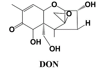 玉米嘔吐毒素